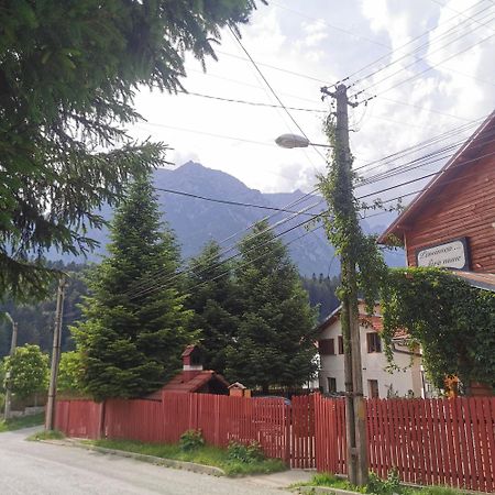 Pensiunea Fara Nume Buşteni Exterior foto