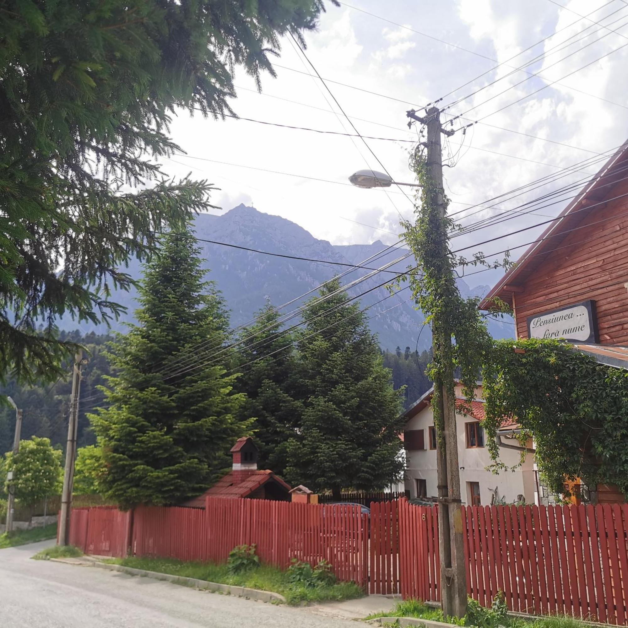 Pensiunea Fara Nume Buşteni Exterior foto