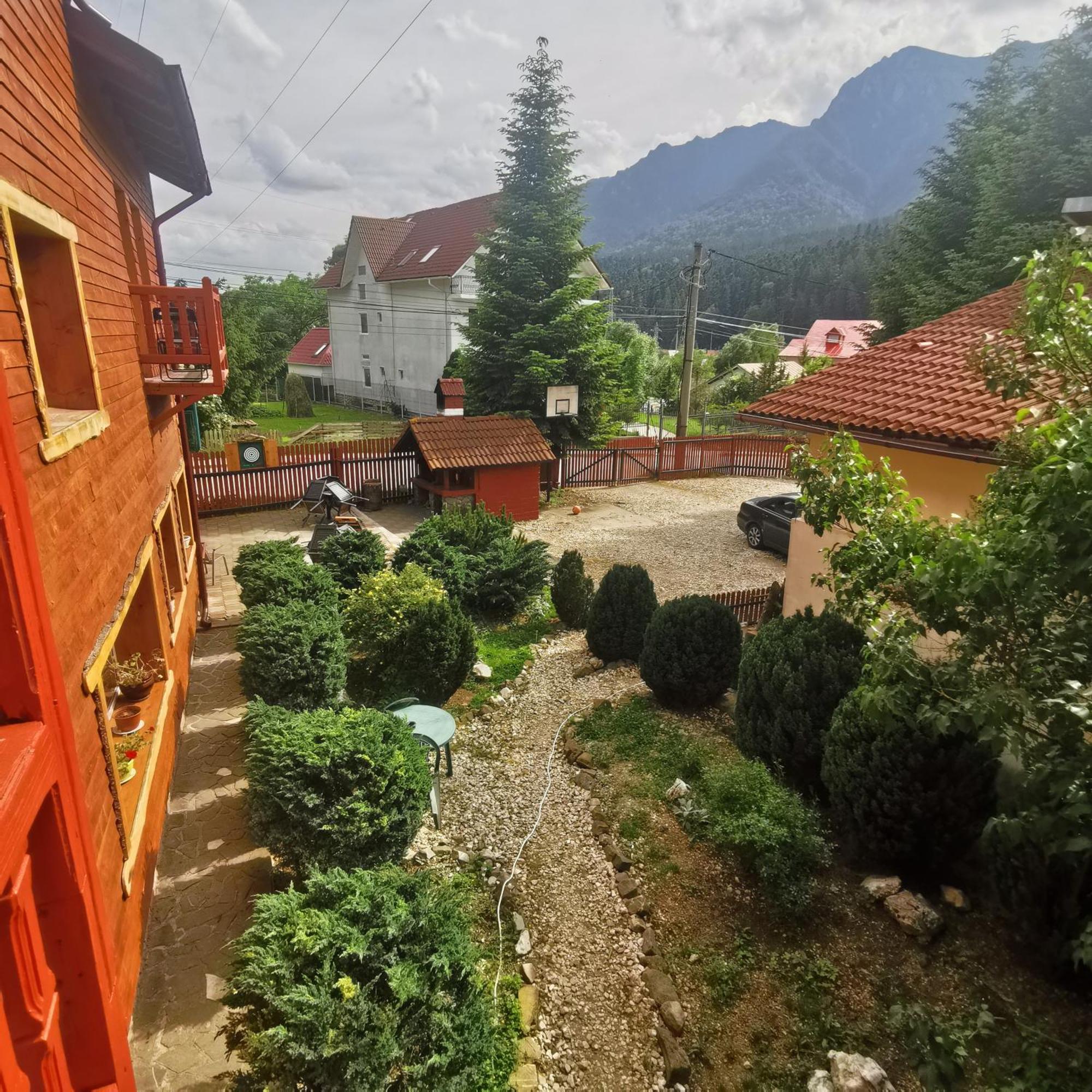 Pensiunea Fara Nume Buşteni Exterior foto